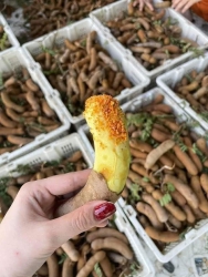 Menu món ngon cho ngày mai tại Quảng Nam