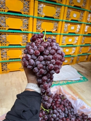  rẻ tại Quảng Nam