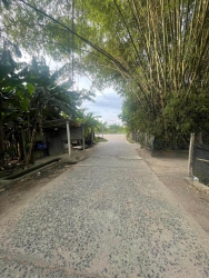 ng Đông - Hoà Châu tại Quảng Nam