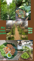 Cưới Tuần Hết Nấc Nào tại Quảng Nam