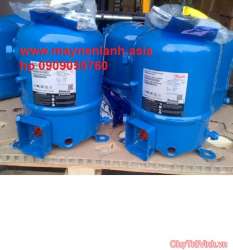 Máy nén lạnh giá rẻ  tại Quảng Nam