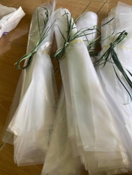 tại Quảng Nam