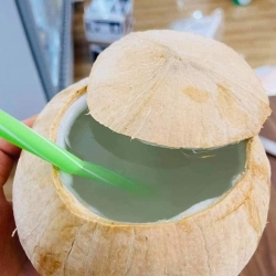 Gấp gấp gần đi ngủ rồi bà c nhờ bán giùm mấy thùng dừa xiêm trọc bến tre loại 1 tại Quảng Nam