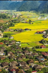  5 tỷ thương lượng tại Quảng Nam