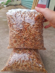 Tép Đồng phơi khô - 1kg tại Quảng Nam