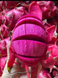 Chi chớ nge hàng sạch là e ưng cái bụng rồi tại Quảng Nam