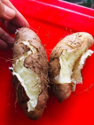 Mai nhà bán trái cây, khoai và cá khô tại Quảng Nam