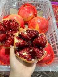Nay 14 Âm Lịch Khách Lấy J Lên Đơn E Giao Luôn Nha tại Quảng Nam