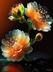 Chào bán căn nhà 3 tầng K283/7 Hoàng Diệu tại Quảng Nam