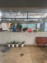 Nhà 3 tầng lô góc view biển Nguyễn Tất Thành chỉ vài bước chân tại Quảng Nam