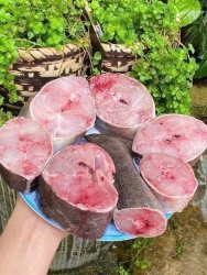 Cá bớp 120.000đ/1kg tại Quảng Nam