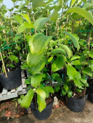 Công Ty TNHH Tư Vấn Thiết Kế Đầu Tư Xây Dựng 79DESIGN tại Quảng Nam