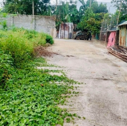 n lô đất diện tích lớn Cẩm Toại Tây - Hoà Phong tại Quảng Nam