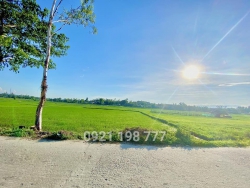 Siêu phẩm view lúa TTTP Tam Kỳ tại Quảng Nam