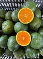 Ra of product's title tại Quảng Nam