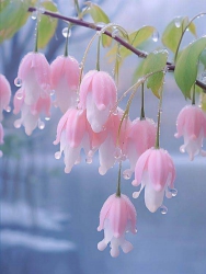 i định cư trường trung cấp công an Thăng Bình tại Quảng Nam