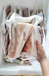 Mực Lá Tươi được chắn từ nhà hàng tại Quảng Nam