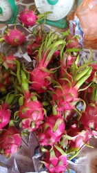 Mai 29am Nhà E Về Lại Các Loại Trái Cây Sau Cho Khách Thảo Hương tại Quảng Nam