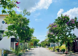 Chuyển nhượng lô biệt thự tại Nam Phước, Đà Nẵng tại Quảng Nam