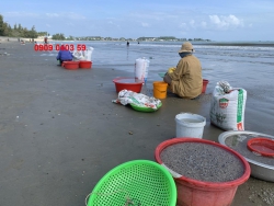 Khu dân cư Tịnh Kỳ TP Quảng Ngãi cơ hội đầu tư không thể bỏ lỡ tại Quảng Nam