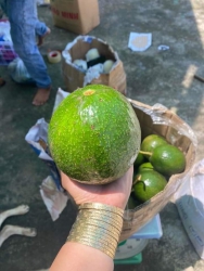 ch tại Quảng Nam