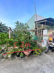 Bán đất 100m2 Dương Sơn, Hòa Châu, ngang 5m20 tại Quảng Nam