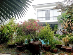 Villa 440m2 Hội An, Bể Bơi + 6 Căn hộ Full Nội thất - Kinh doanh Homestay VIP tại Quảng Nam