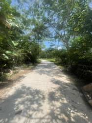 Bán đất Lô Xuân Diêm Điện Tiến tại Quảng Nam