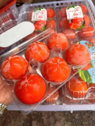 Menu mai Thứ 7 tại Quảng Nam