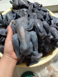 Hôm nay có 50 bông hoa tươi cho các khách hàng tại Quảng Nam