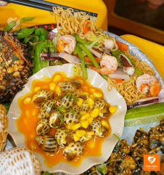 Dừa Sọc: Thưởng thức ốc ngon, rẻ tại quán vào cuối tuần tại Quảng Nam