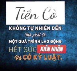 Kiệt Ô Tô Thông Suốt Thuộc Thị An Hòa, Quận Ngũ Hành Sơn tại Quảng Nam