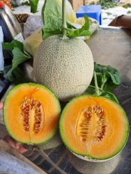 Bán dưa lưới trồng theo tiêu chuẩn Vietgap tại Quảng Nam