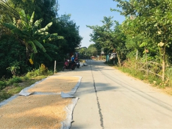 Bán 2 Lô Đất liền kề 370m2 Tại Điện Bàn Giá Chỉ 5xx Triệu/ Lô tại Quảng Nam