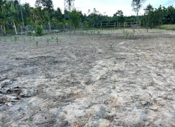 Chính chủ gửi bán 3 lô mỗi lô 150m2 ngang 5m đường ôtô thông - gần fam gần khu du lịch bến du thuyền - giá 820 triệu tại Quảng Nam