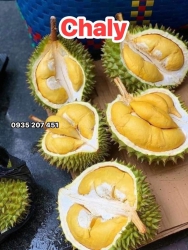 Sản phẩm Sầu Ri6, Óc Khỉ, Musaking, Sầu Chaly, Cơm Vàng Chành Béo Dẻo tại Quảng Nam