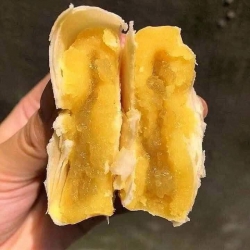 Lên đơn bánh pía thắp hương, cúng Ngày MỒNG 1 MN ơi tại Quảng Nam