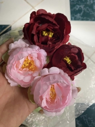 Hoa nhà em có sẵn tại Quảng Nam