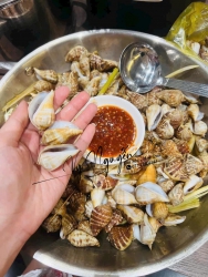 Sẵn ốc nhảy rồi khách nhaaa, lênn đơn e shipp ạ . Nay trời động ghe đi được ít  ỐC NHẢY SỐNG : #30kkk / 1 kí #30kkk ( TẶNG KÈM MUỐIII CHẤM )  Ốc TO, tươiii, sạch cát 100%. Lễ ra cả đuôiii, béo ngọt lắm luôn ạ.. Phí đi đơn 10kkk tại Quảng Nam
