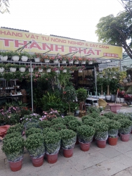 Anh chị ghé lựa tại Quảng Nam