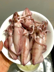 Mực cơm Mực l tại Quảng Nam