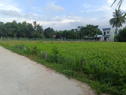 Bán lô đất trồng cây Hoà Nhơn tại Quảng Nam