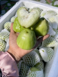 mai mấy chị tới công chiện với e hân nề tại Quảng Nam