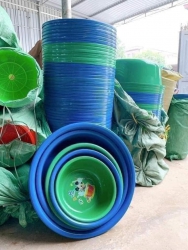  tại Quảng Nam