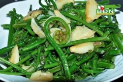 Cần thuê nhà gấp, khu vực trung tâm TP.HCM tại Quảng Nam