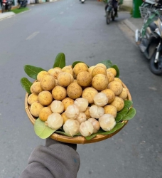 Xe bỏ dư thùng bòn bon thái ngọt lịm sale nhanh tại Quảng Nam
