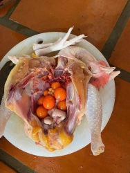 ch ơi tại Quảng Nam