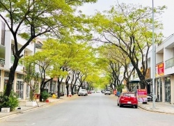 Bán nhà shophouse khu FPT Đà Nẵng tại Quảng Nam