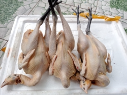  tại Quảng Nam