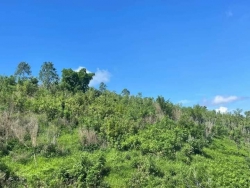 Bán 1,4 hecta đất đồi tại Đăk Ngok, Đắk Hà, Kon Tum tại Quảng Nam